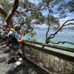 1 sydney harbour national park 2 hour walking tour Sydney Harbour National Park 2-Hour Walking Tour