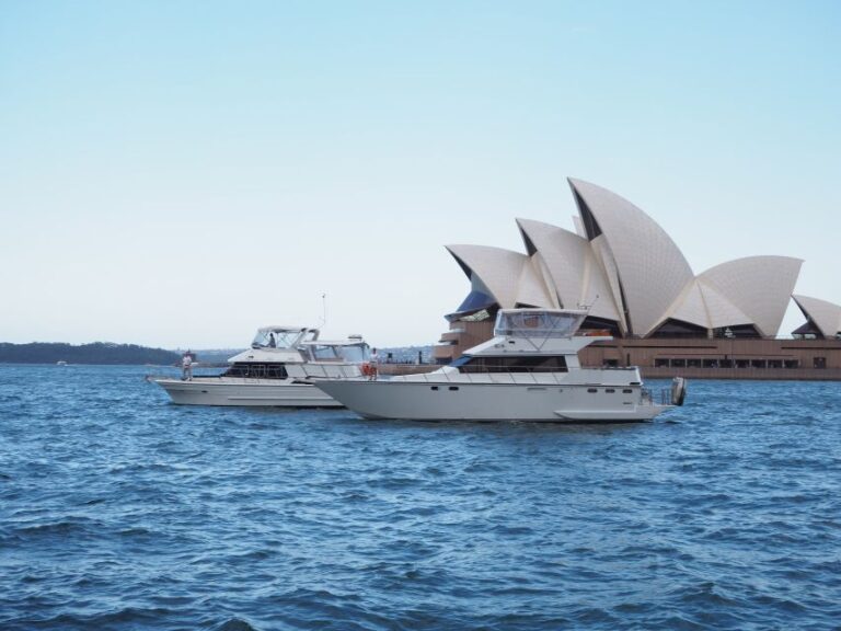 Sydney: Morning Cruise and Afternoon Panoramic City Tour