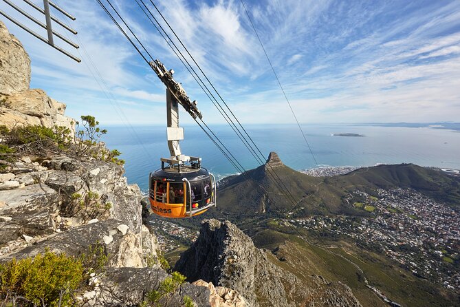 Table Mountain, Wine, and Penguins Small-Group Highlights Tour  – Cape Town