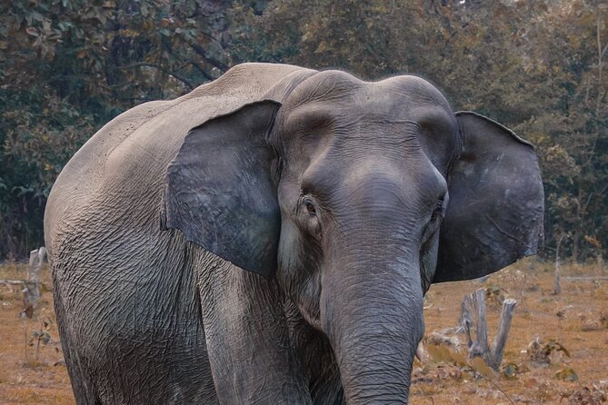 Taj Mahal With Visit to Elephant Conservation Center