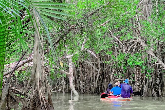 Takua Pa Canoe, Hot Spring, and Waterfall Tour From Khao Lak - Important Tour Details