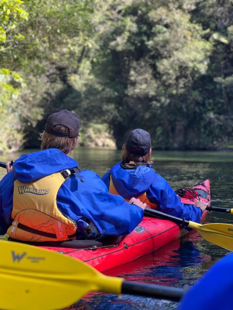 Tauranga: Scenic Lake Mclaren Kayak Tour