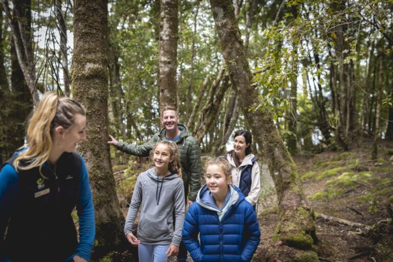 Te Anau: Glowworm Caves Guided Tour