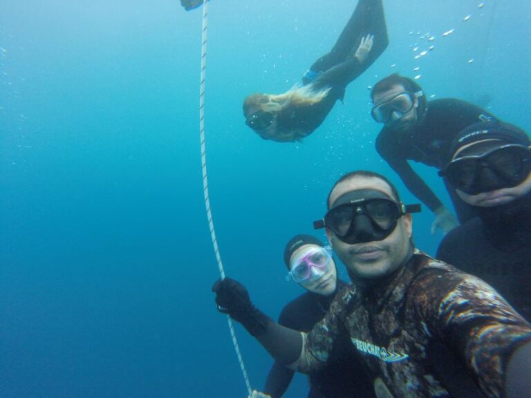 Tenerife: Full-Day of Discovering Freediving