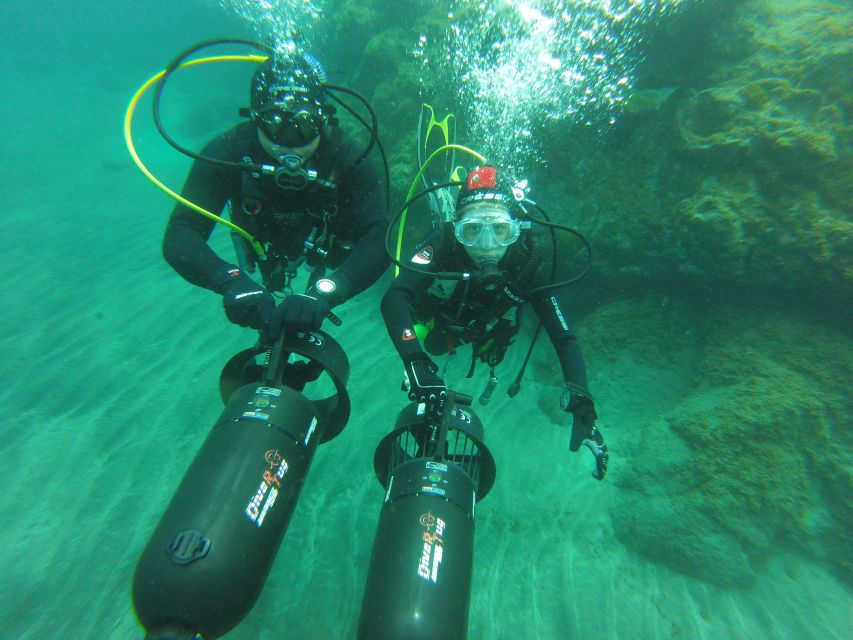 Tenerife: Full-Day The Best Dives for Certified Divers