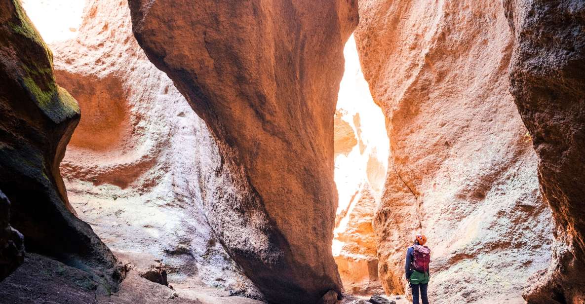 Tenerife: Los Arcos Canyoning Tour With Guide