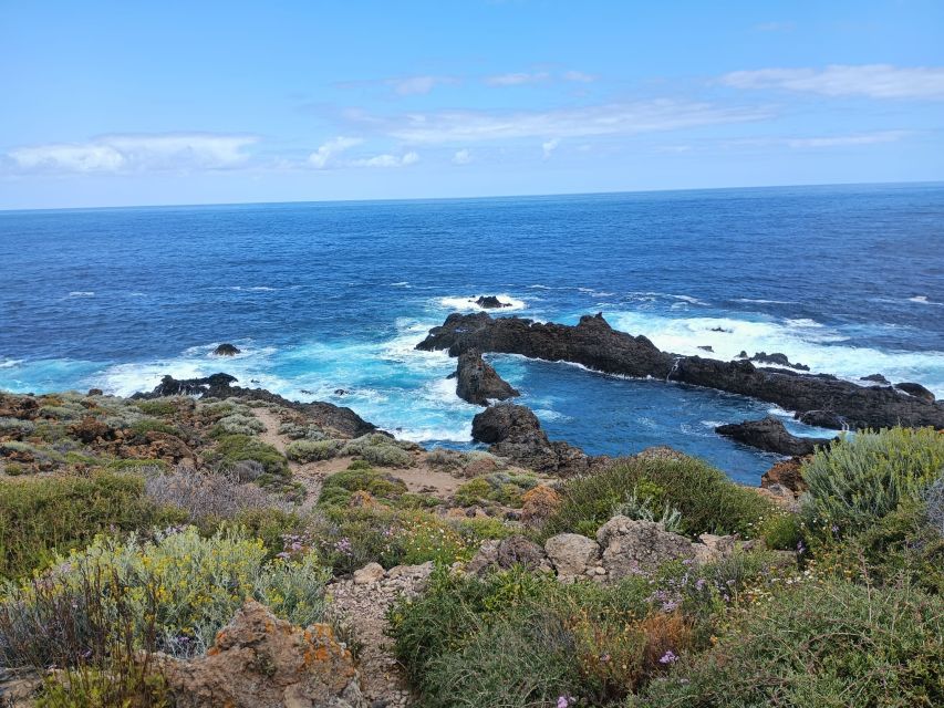 1 tenerife north coast landscapes private day tour Tenerife: North Coast Landscapes Private Day Tour
