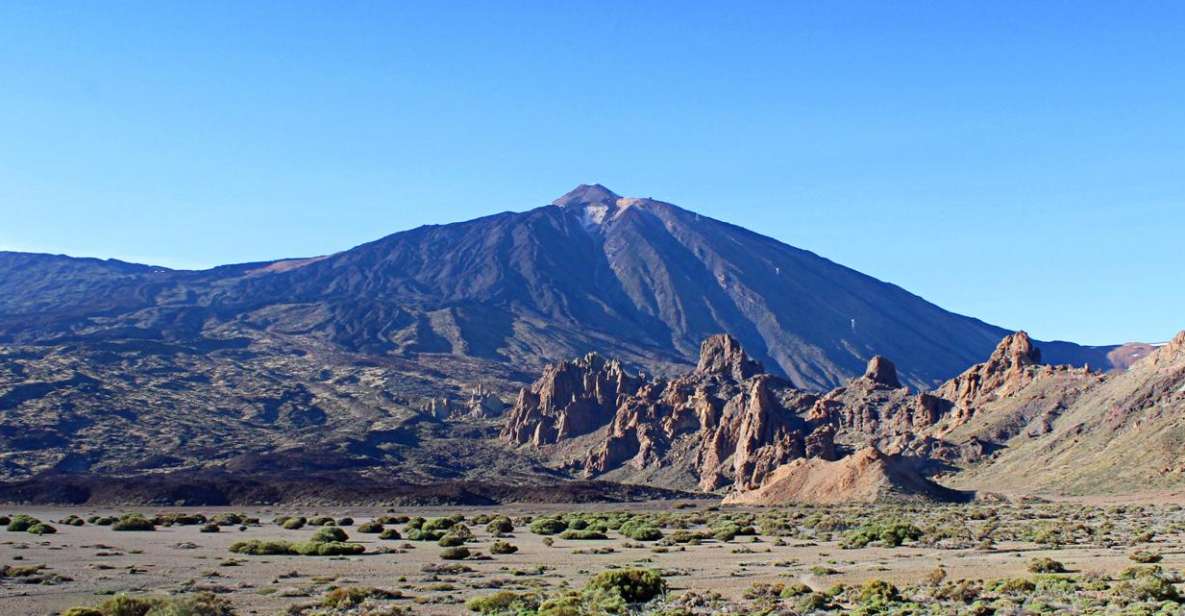 Tenerife: Teide and Las Cañadas Half-Day Tour