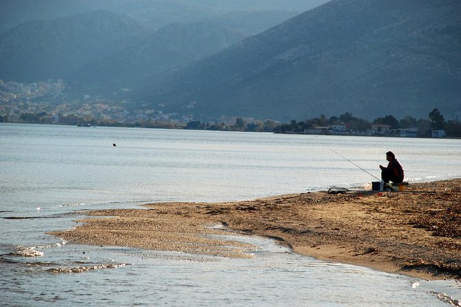 The Persian War Battlefields Private Tour From Athens (Mar )