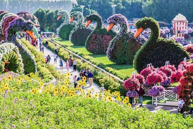 Three at One Time !! Dubai Miracle Garden With Butterfly Garden & Global Village - Refund Policy and Cancellation Terms