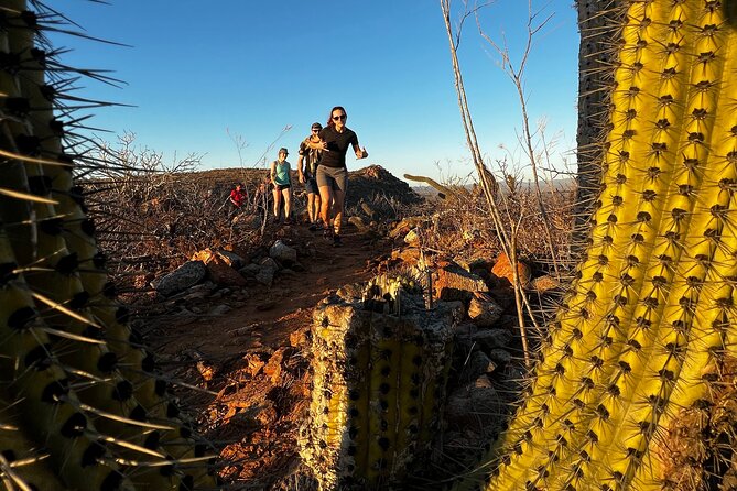 1 todos santos sunset hike Todos Santos Sunset Hike