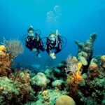 1 tossa de mar scuba diving experience for beginners Tossa De Mar: Scuba Diving Experience for Beginners