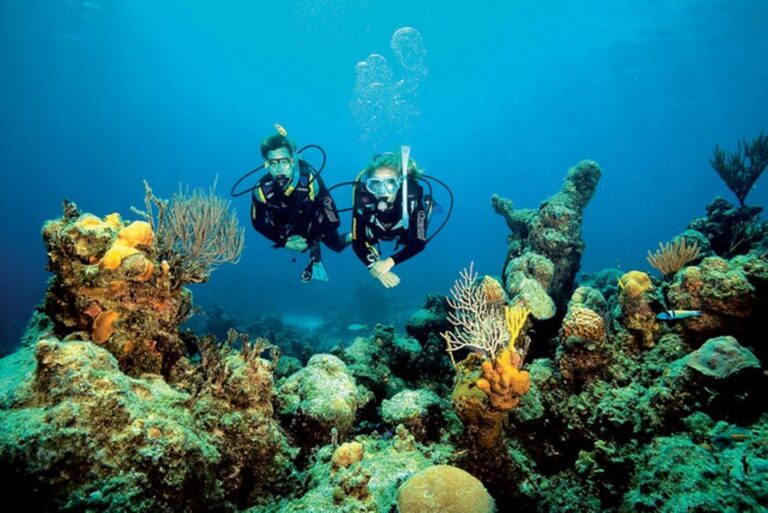 Tossa De Mar: Scuba Diving Experience for Beginners