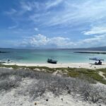 1 tour to isla coronados with snorkeling activity Tour to Isla Coronados With Snorkeling Activity