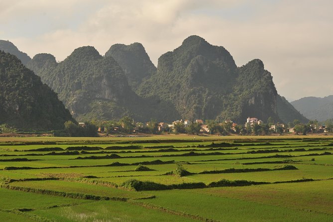 1 tour to the caves one day tour to phong nha and paradise caves Tour to the Caves ONE DAY Tour to Phong Nha and Paradise Caves