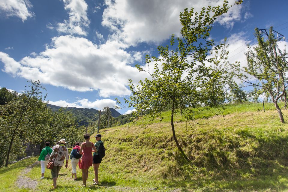 1 traditional cider house tour transport included Traditional Cider House Tour Transport Included