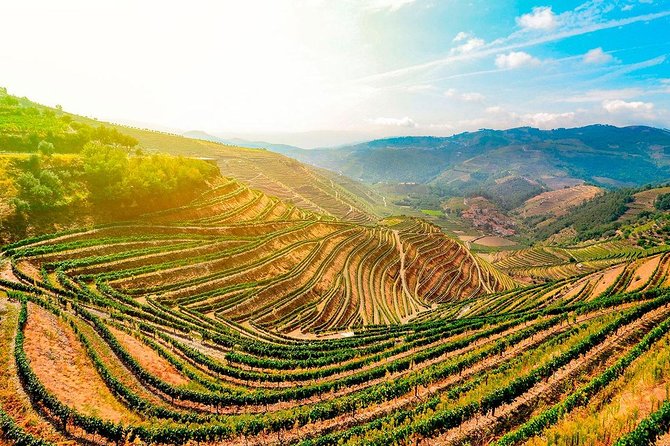 Trip to Douro Valley From Porto