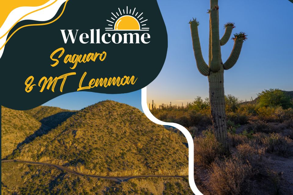 Tucson: Mt Lemmon & Saguaro NP Self-Guided Bundle Tour - Tour Details