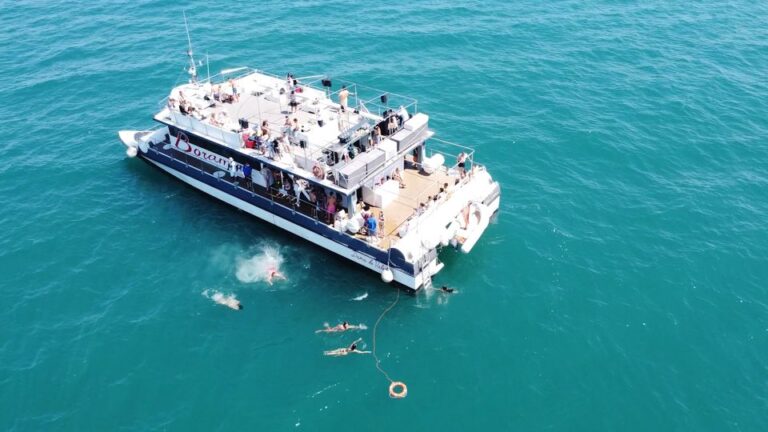 Valencia: Catamaran Cruise With Stop for Swimming