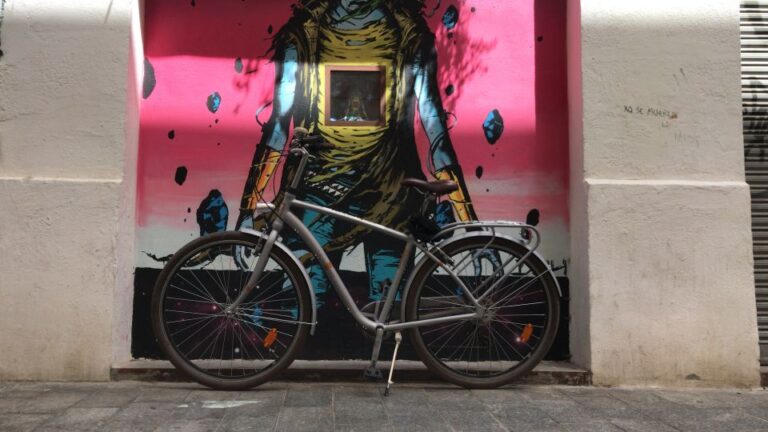 Valencia: Street Art Bike Tour