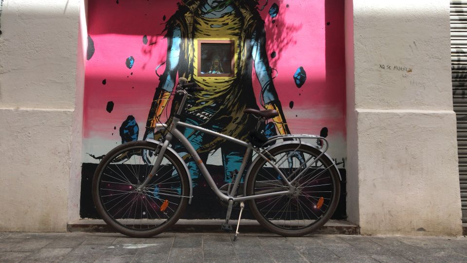 1 valencia street art bike tour Valencia: Street Art Bike Tour