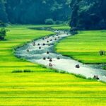 1 vietnam package tours hanoi green travel Vietnam Package Tours - Hanoi Green Travel