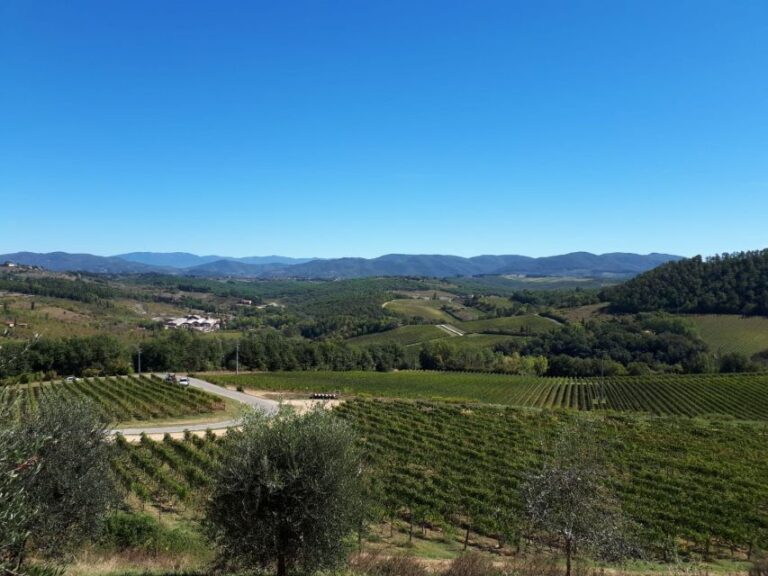 Vintage Fiat 500 Chianti & Tuscany Wine Tour With Driver