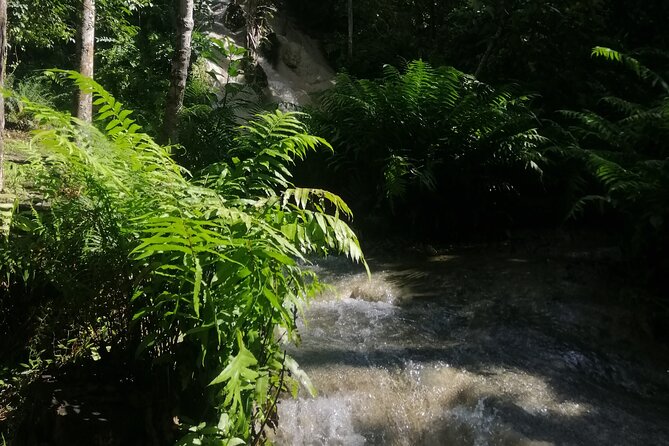 1 visit dantewada blue temple bua tong sticky waterfall Visit Dantewada, Blue Temple, Bua Tong Sticky Waterfall