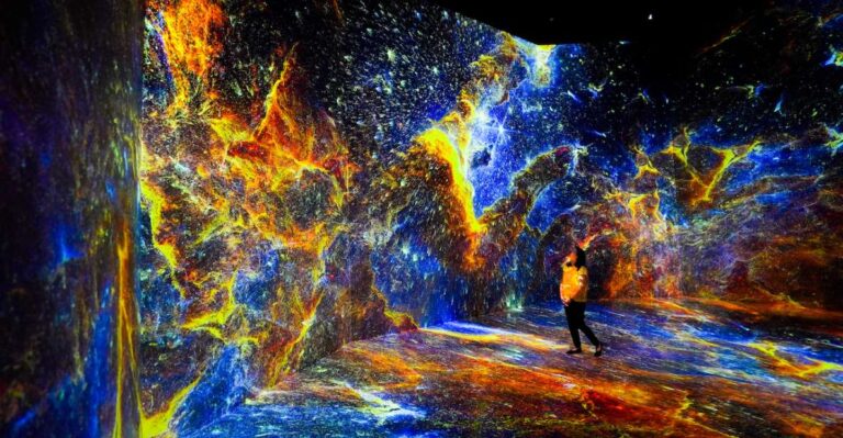 Washington, DC: ARTECHOUSE Immersive Art Experience Ticket