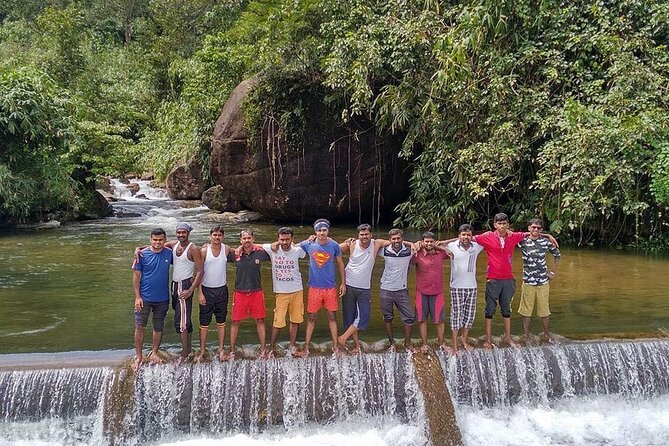 1 wild elephant anakulam waterfalls tourmunnar valley trekking Wild Elephant Anakulam & Waterfalls Tour(Munnar Valley Trekking)