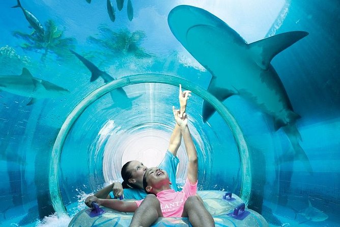 Wild Wadi Water Park in Dubai With 2 Way Transfer