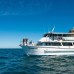 1 wilsons promontory whale spotting cruise with lunch Wilsons Promontory: Whale Spotting Cruise With Lunch