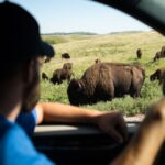1 yellowstone self guided tour of national park highlights Yellowstone: Self-Guided Tour of National Park Highlights