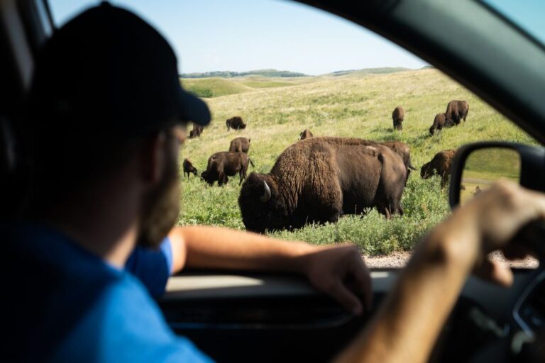 Yellowstone: Self-Guided Tour of National Park Highlights