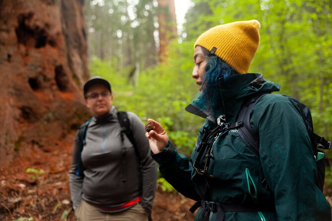 Yosemite Two Day Private Tour and Hike