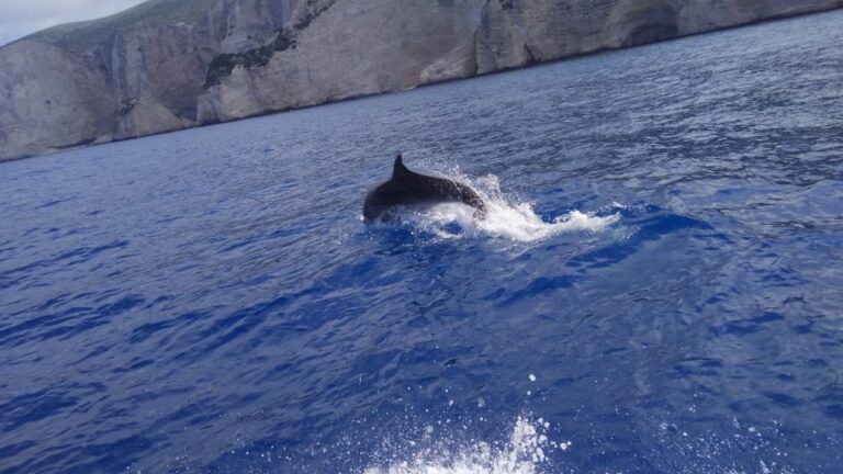 Zakynthos: Early Morning Shipwreck,Blue Caves and View Point