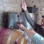 1 zinfandel wine tour from split Zinfandel Wine Tour From Split