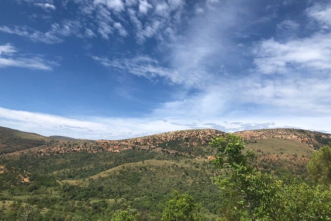 1 Day Kgaswane Mountain Reserve Birding Shared Tour - Meeting and Pickup Information