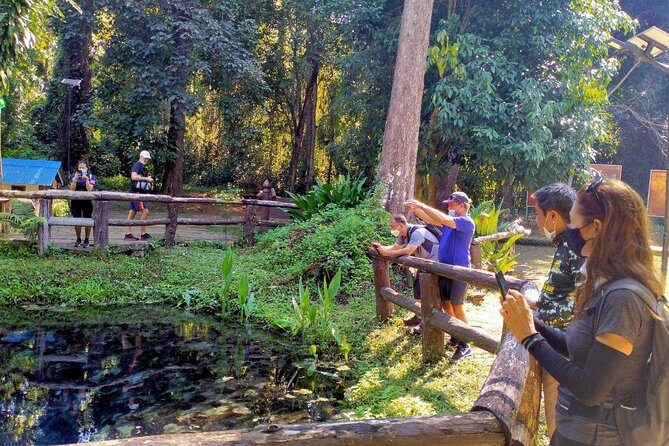 1-Day Sticky Waterfall Hike & Mountain Biking to Mae Kuang Lake - Itinerary Details