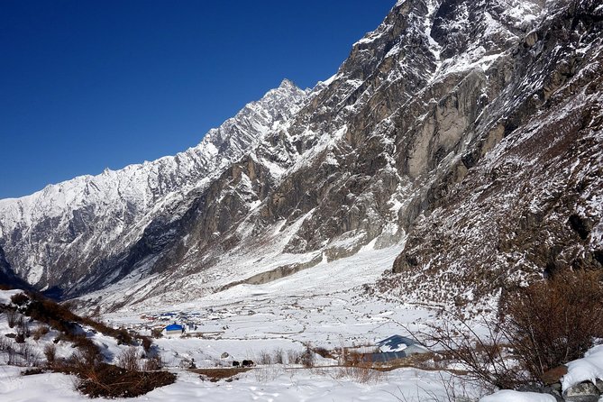 12 Days Langtang Valley Homestay Trek - Daily Itinerary Highlights