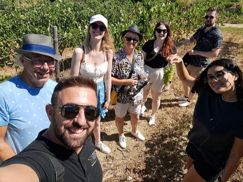 2 Wineries Tour With Wine Tasting, Olive Oil Tasting & Lunch - Itinerary Details