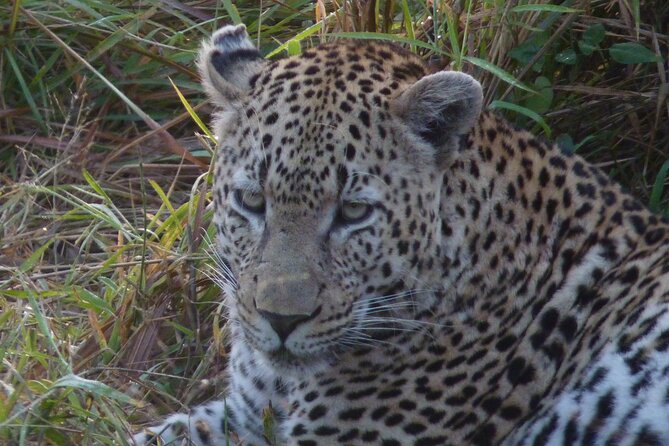 2 3 day kruger national park 3-Day Kruger National Park Experience