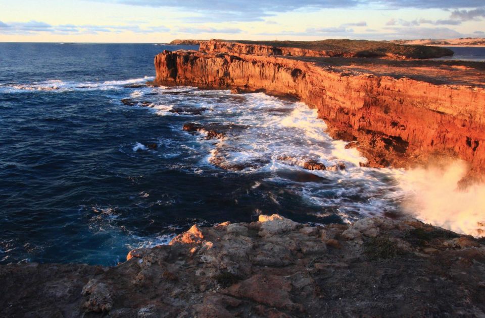 3-Day Yorkes Peninsula Coastal Wilderness Tour From Adelaide - Experience Highlights