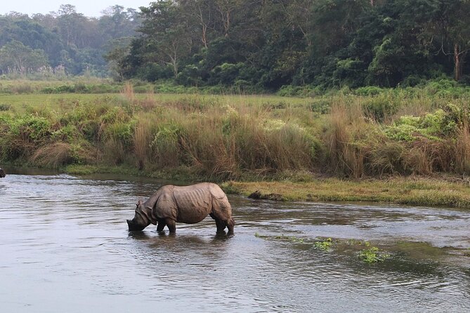 3 Days and 2 Nights Chitwan National Park Safari Tour in Pokhara - Pickup and Meeting Details