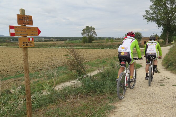 3-Hour Bike Tour and Wine in Tuscany: Nobiles Path - Traveler Reviews
