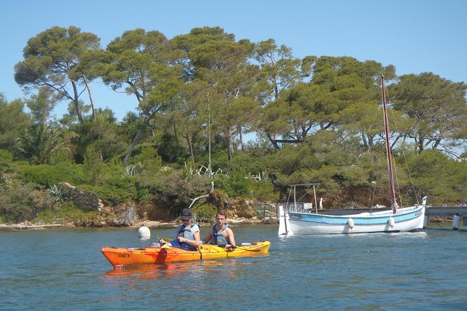 3h Kayak Tour at Calanques National Park - Activity Highlights