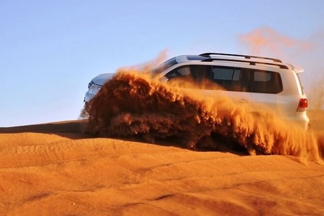 4-Hour Private Morning Desert Safari Jeep Admiring Desert Flora and Fauna - Desert Flora Showcase