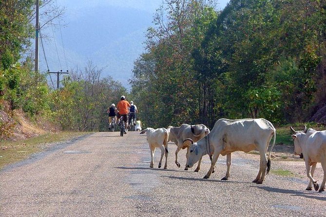 5-Day Private Bicycle Tour Chiang Mai and Surroundings - Inclusions and Exclusions