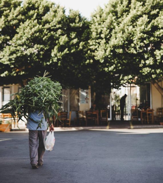 A Culinary Journey to Lassithi Plateau. From Heraklion. - Cultural Encounters