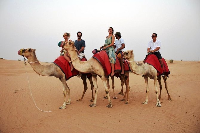 Abu Dhabi Morning Desert Safari With Camel Ride & Sand Boarding - Booking and Pricing Information